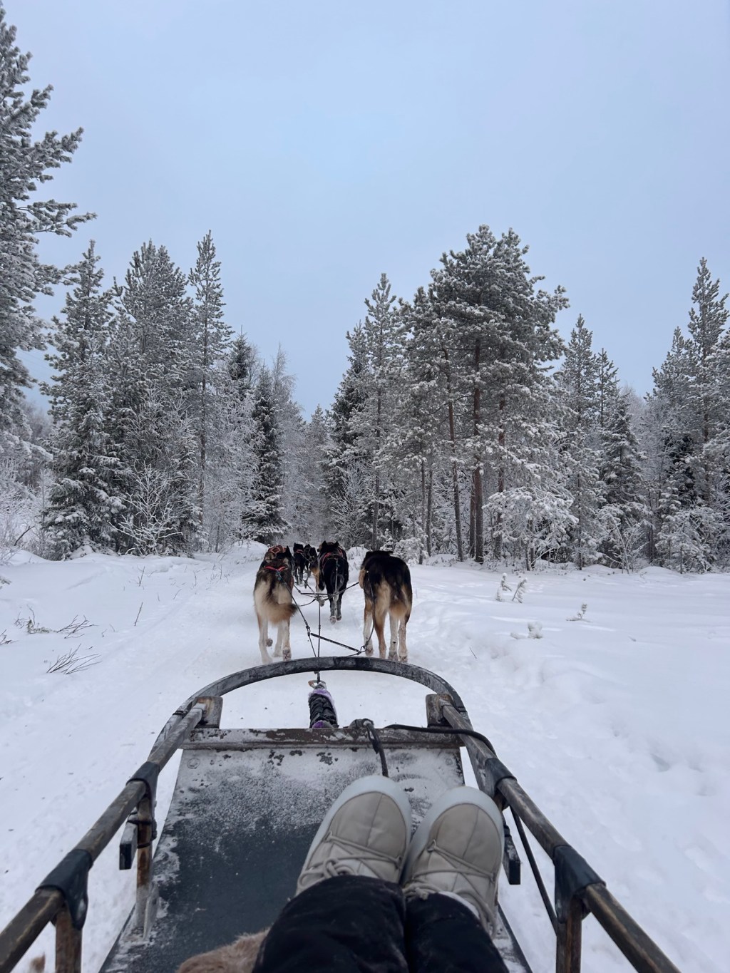 Sæsonjob i Lapland